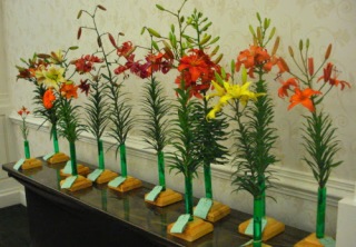 Horticulture Entries for 2014 NALS Show